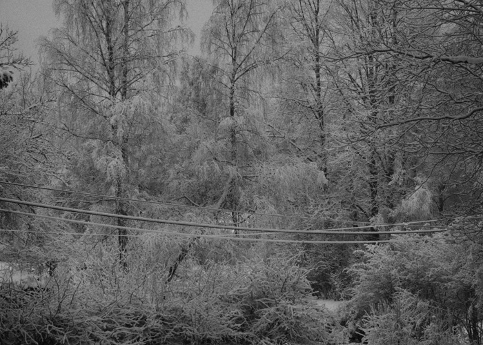In front of us: Christmas