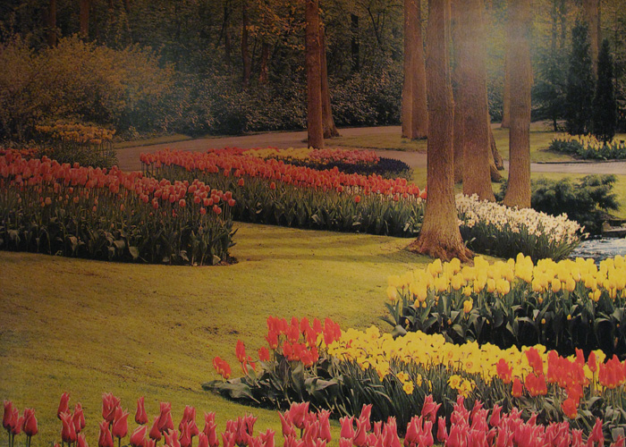 Illusion of Spring