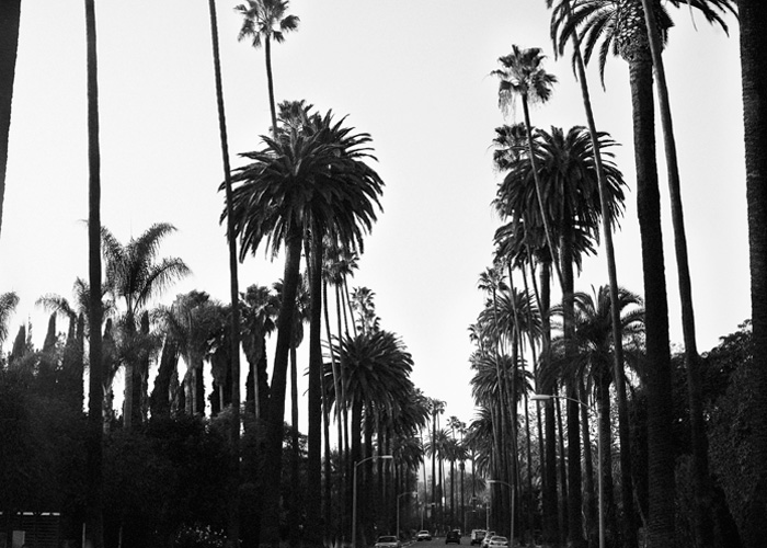 From The L.A. Files