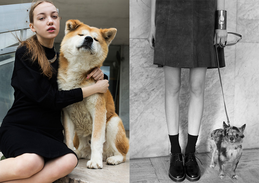 fashion-dogs_02