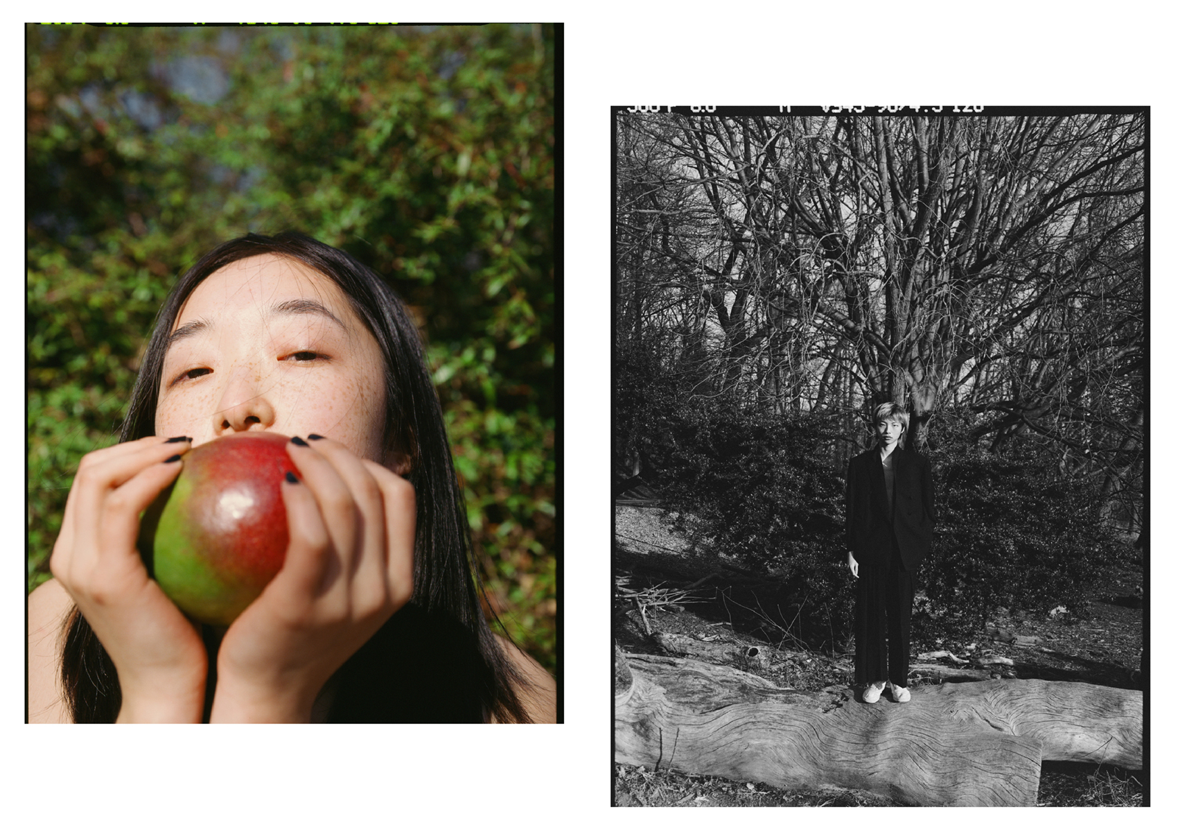 Fashion Story: The Apple