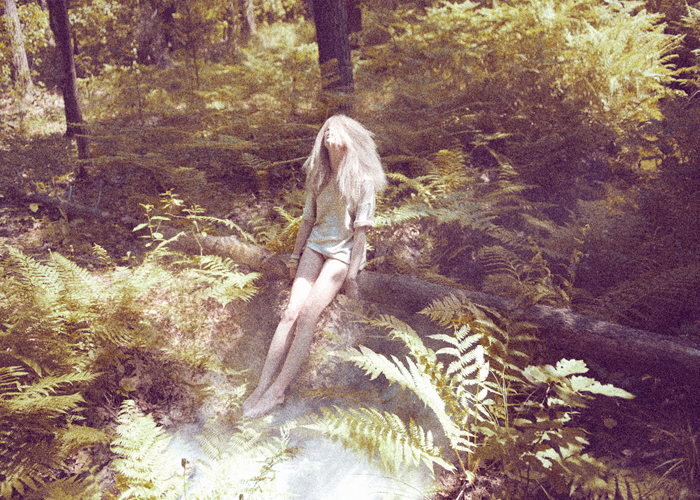FASHION STORY: THE FOREST – Contributor
